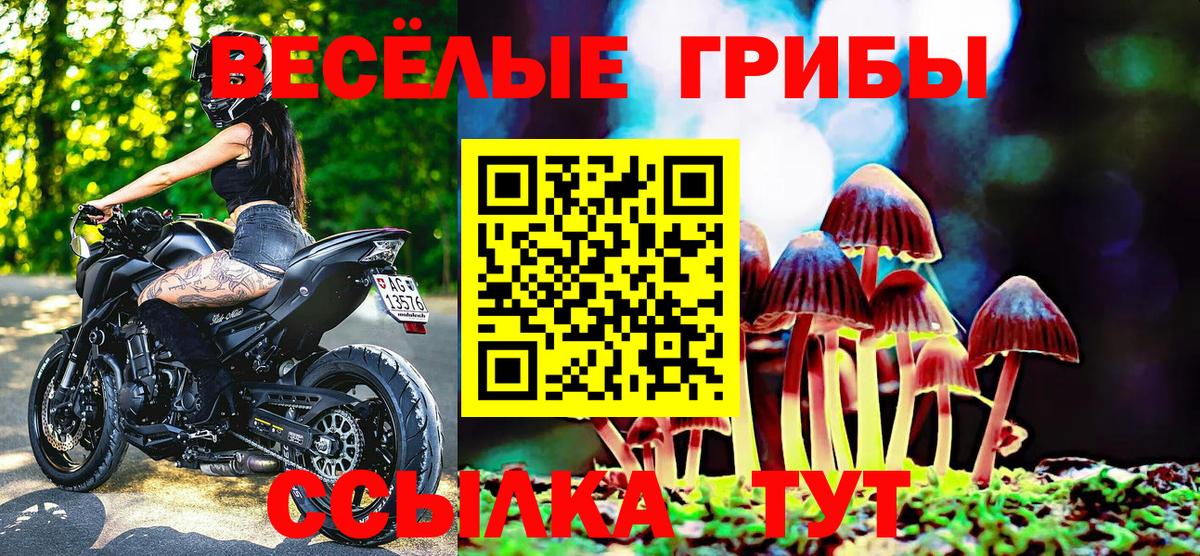 Североморск  Псилоцибиновые грибы мицелий  Вход с VPN 